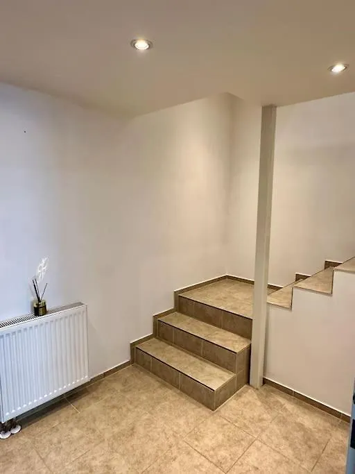Διαμέρισμα Palac Anezka D1 Μπρνο